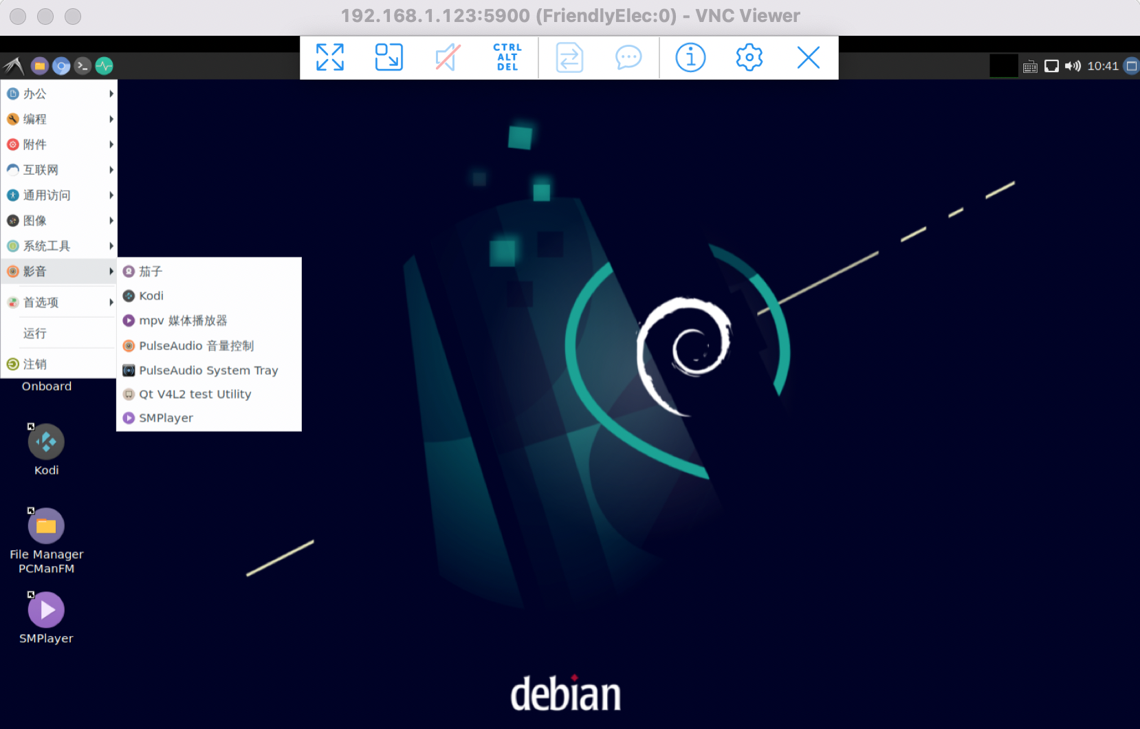 Debian10-x11vnc.png